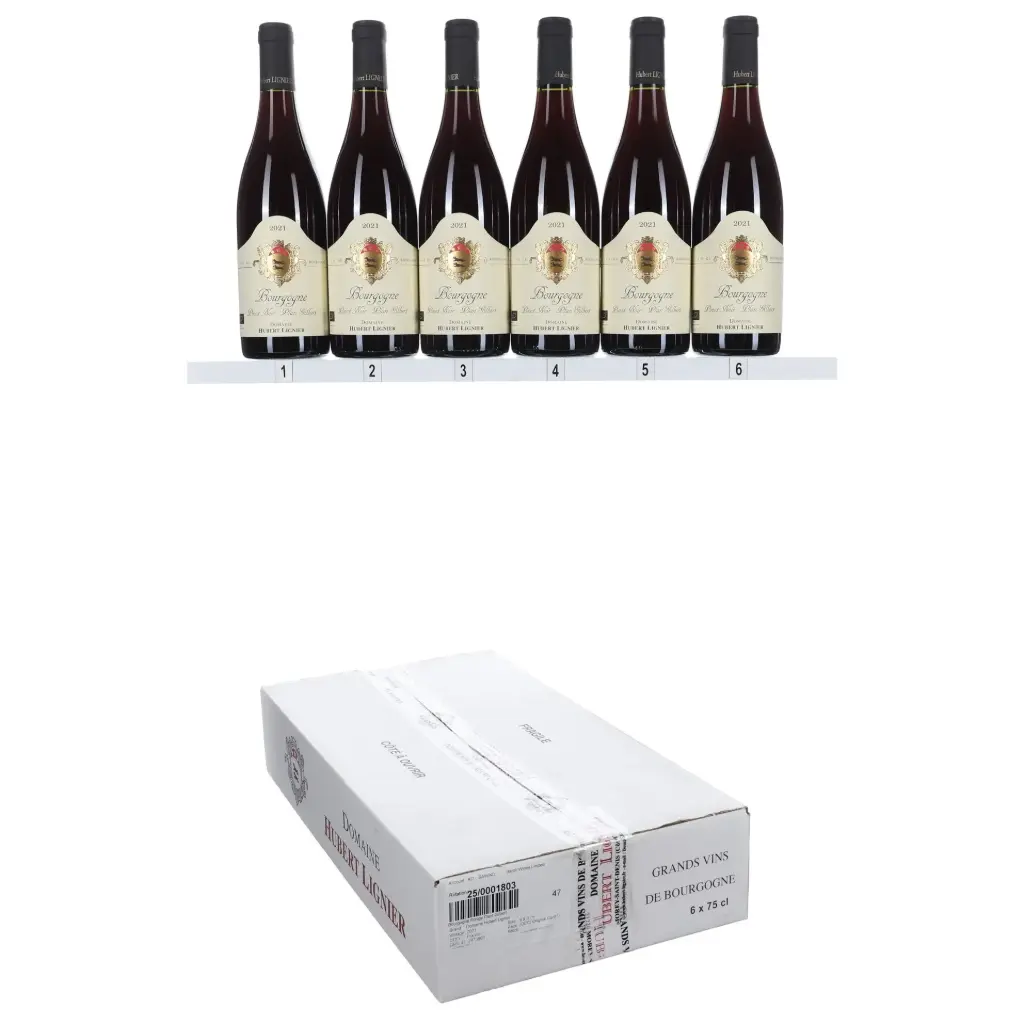 Hubert Lignier Bourgogne Rouge Plant Gilbert 2021 (OCC/6)