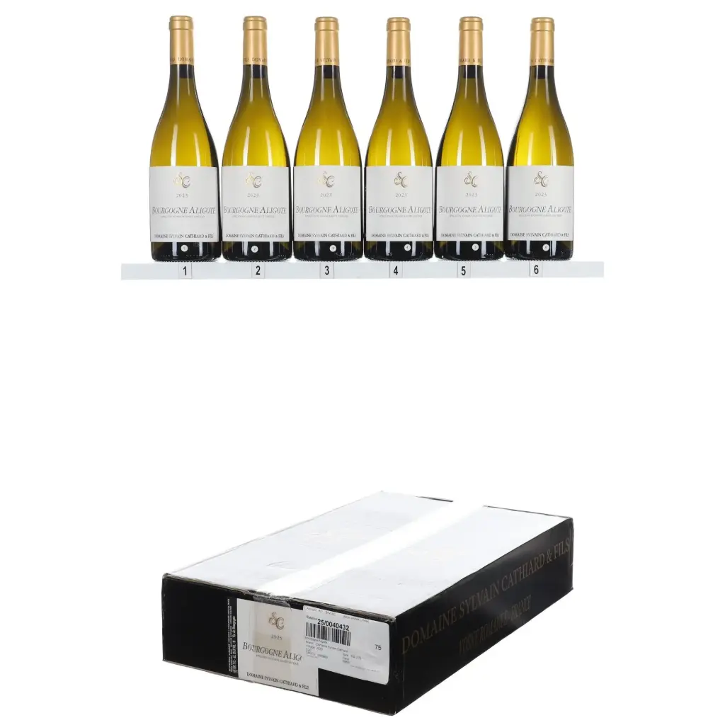 Sylvain Cathiard Bourgogne Aligote 2023 (OCC/6)