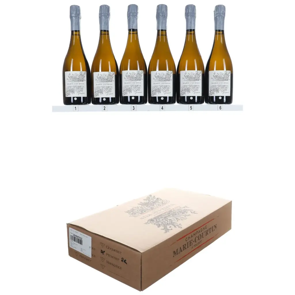 Marie Courtin Presence 2022 (OCC/6)