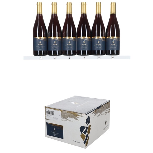 [ASTGCCP22] Domaine Les Astrelles Gevrey Chambertin "Craite Paille" 2022 (OCC/6)