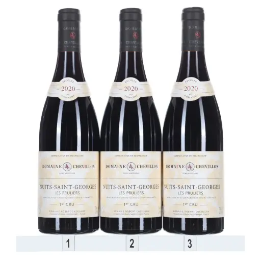 [RCNSGPR20] Robert Chevillon Nuits St Georges 1er Cru Prulier 2020 (Case/3)