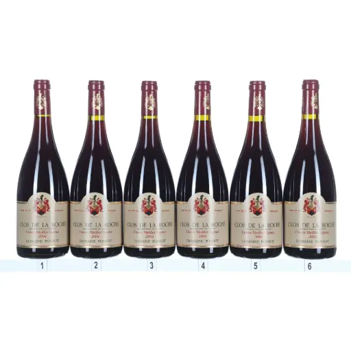 [PCDLR04] Ponsot Clos de la Roche 2004 (Case/6)