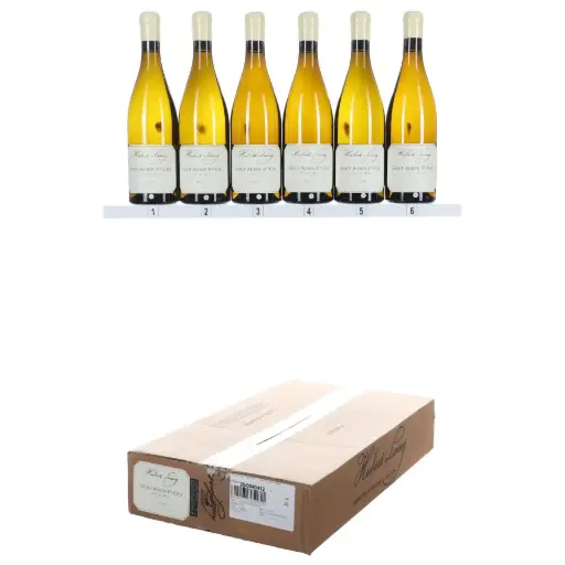 [HULSACDM19] Hubert Lamy St Aubin 1er Cru Clos Du Meix 2019 (OCC/6)