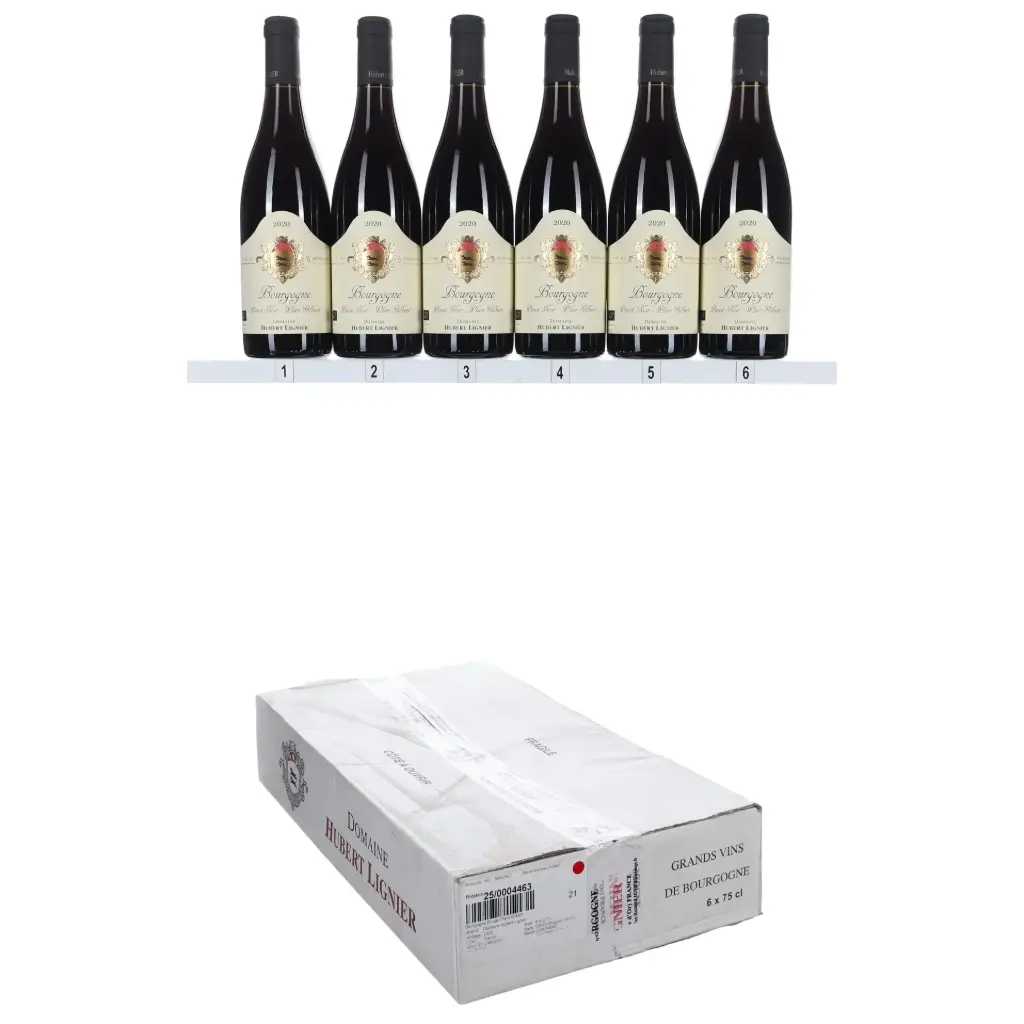 Hubert Lignier Bourgogne Rouge Plant Gilbert 2020 (OCC/6)