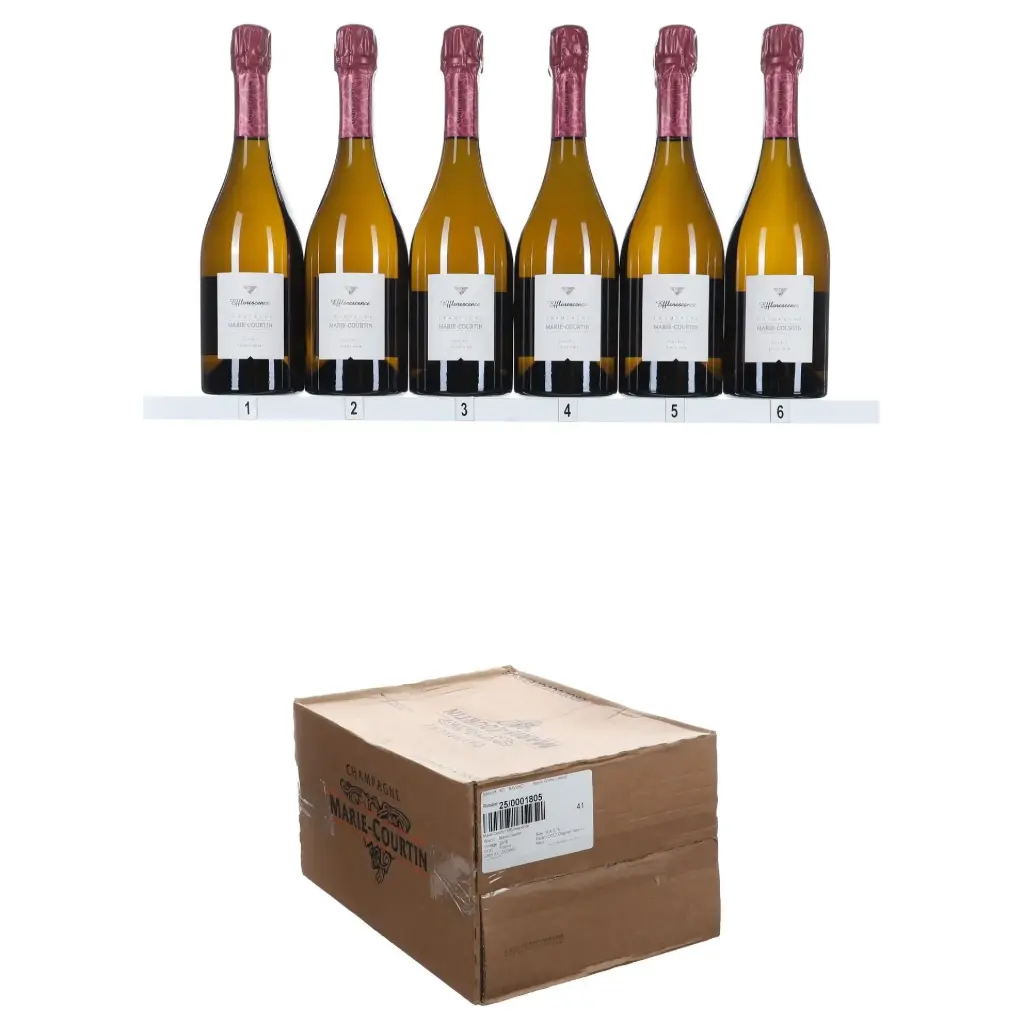 Marie Courtin Efflorescence 2016 (OCC/6)