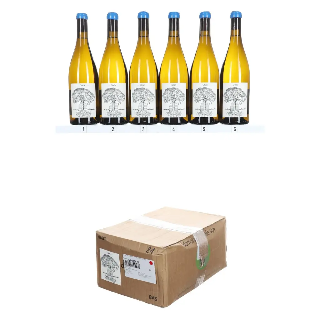 Jerome Bretaudeau Muscadet Gaia 2021 (OCC/6)