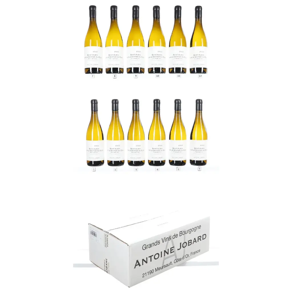 Antoine Jobard St Aubin 1er Cru Sur Le Sentier Du Clou 2022 (OCC/12)