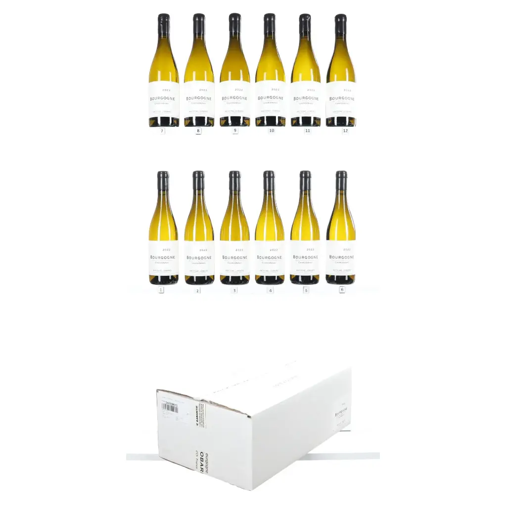 Antoine Jobard Bourgogne Blanc 2022 (OCC/12)