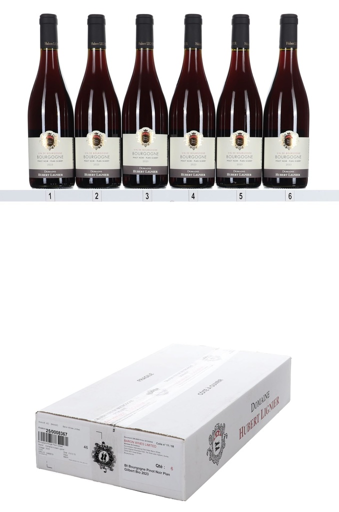 Hubert Lignier Bourgogne Rouge Plant Gilbert 2023 (OCC/6)