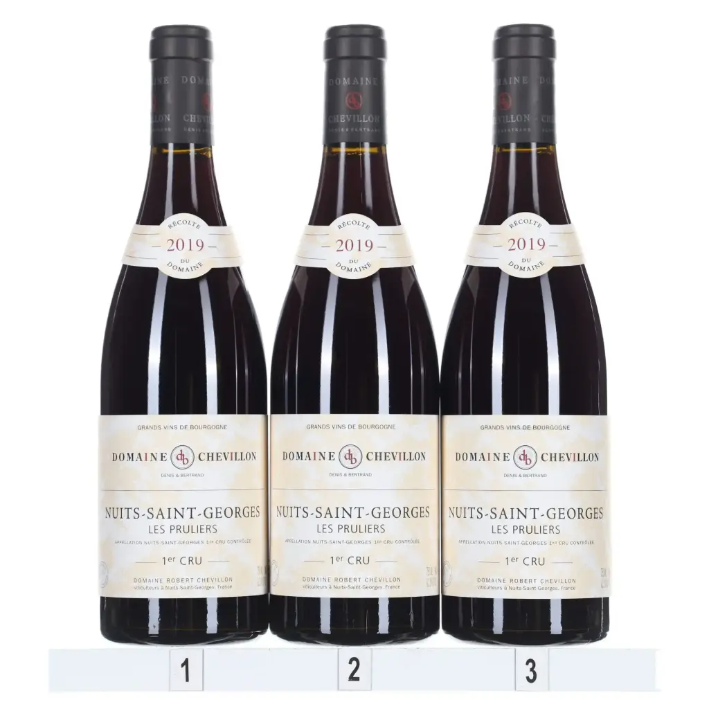 Robert Chevillon Nuits St Georges 1er Cru Prulier 2019 (Case/3)