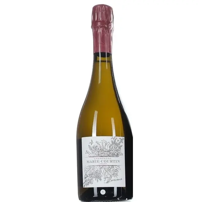 Marie Courtin Efflorescence 2019