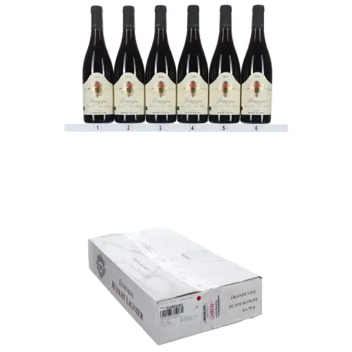 [HLBRPG20] Hubert Lignier Bourgogne Rouge Plant Gilbert 2020 (OCC/6)