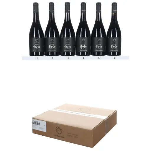 [BDSH21] Bryan Deleu Syrah Hurlu 2021 (OCC/6)