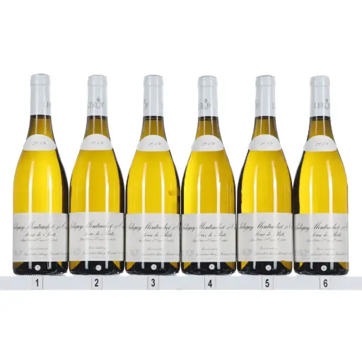 [MALPMSP19] Maison Leroy Puligny Montrachet 1er Cru Sous Le Puits 2019 (Case/6)