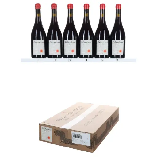 [TVVG21] Terra Vita Vinum Gabouchons VdF 2021 (OCC/6)