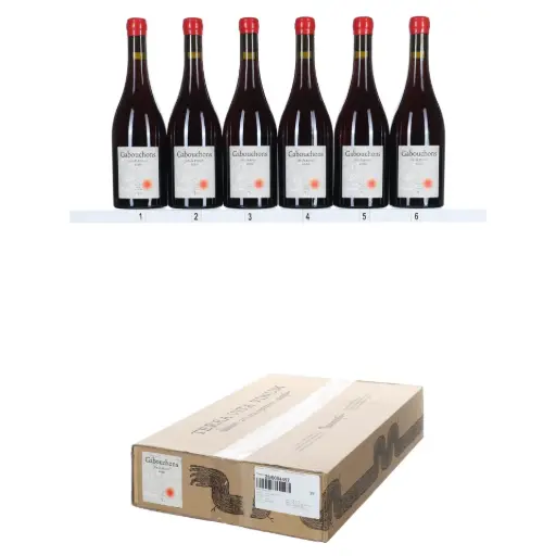 [TVVG20] Terra Vita Vinum Gabouchons VdF 2020 (OCC/6)