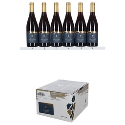 Domaine Les Astrelles Gevrey Chambertin &quot;En Pallud&quot; 2022 (OCC/6)