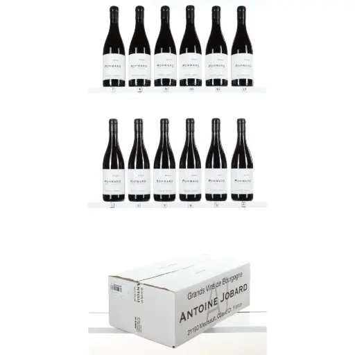 [AJP22] Antoine Jobard Pommard 2022 (OCC/12)