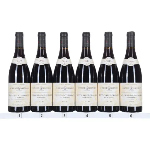 [RCNSGP19] Robert Chevillon Nuits St Georges 1er Cru Perrieres 2019 (Case/6)