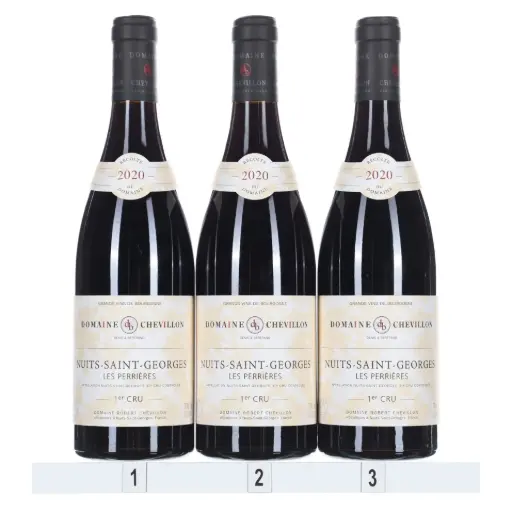 [RCNSGP20] Robert Chevillon Nuits St Georges 1er Cru Perrieres 2020 (Case/3)