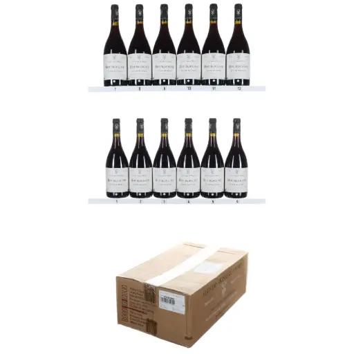 [JGCVMBRCA19] Julien Guillot Clos des Vignes du Maynes Bourgogne Rouge Cuvee Auguste 2019 (OCC/12)