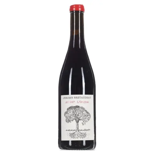 [JBAC247L22] Jerome Bretaudeau AC 247 L'origine 2022